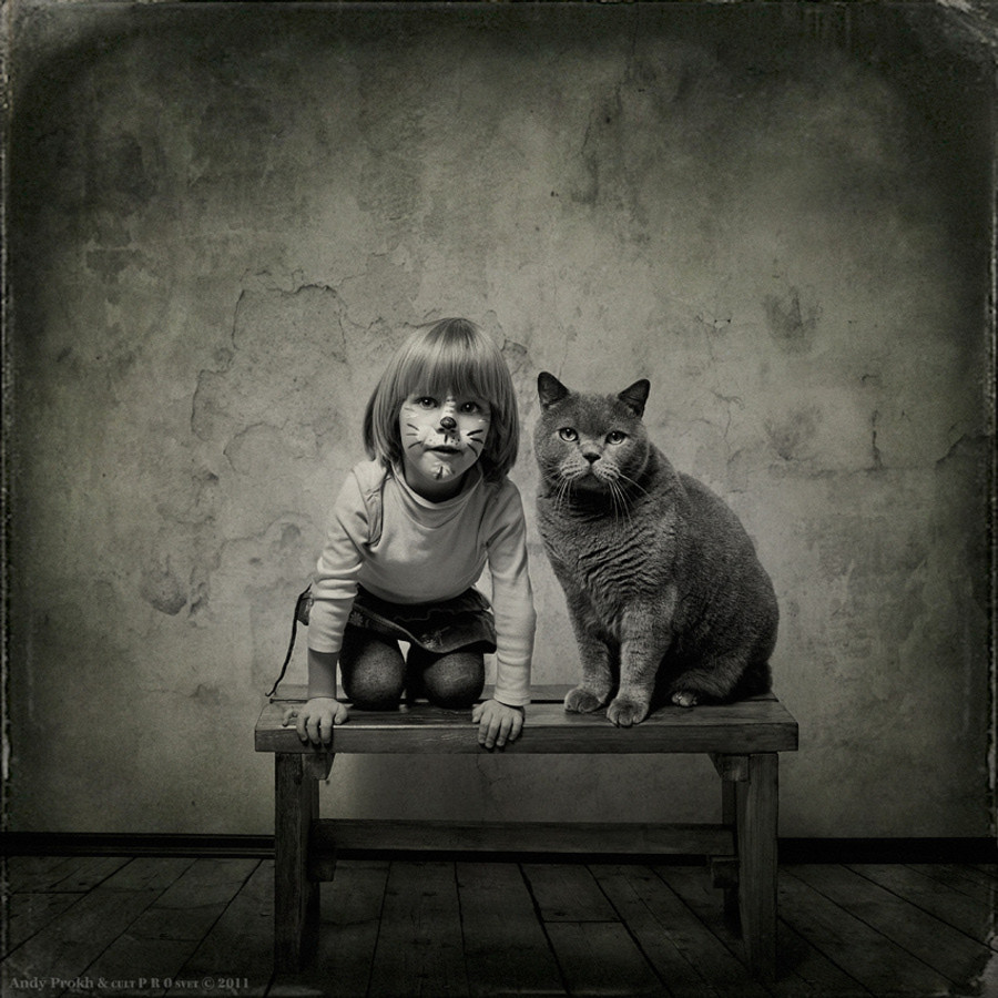 Une fille et son chat par le photographe Andy Prokh