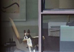 The Neighbors ©️ Arne Svenson