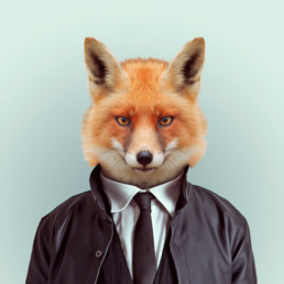 portrait d'un renard habillé