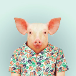 portrait d'un cochon habillé