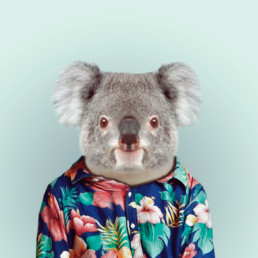 portrait d'un koala habillé
