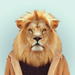 portrait d'un lion habillé