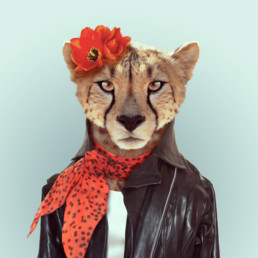 portrait d'un guépard habillé