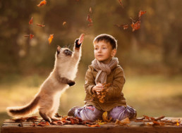 Un enfant et son chat