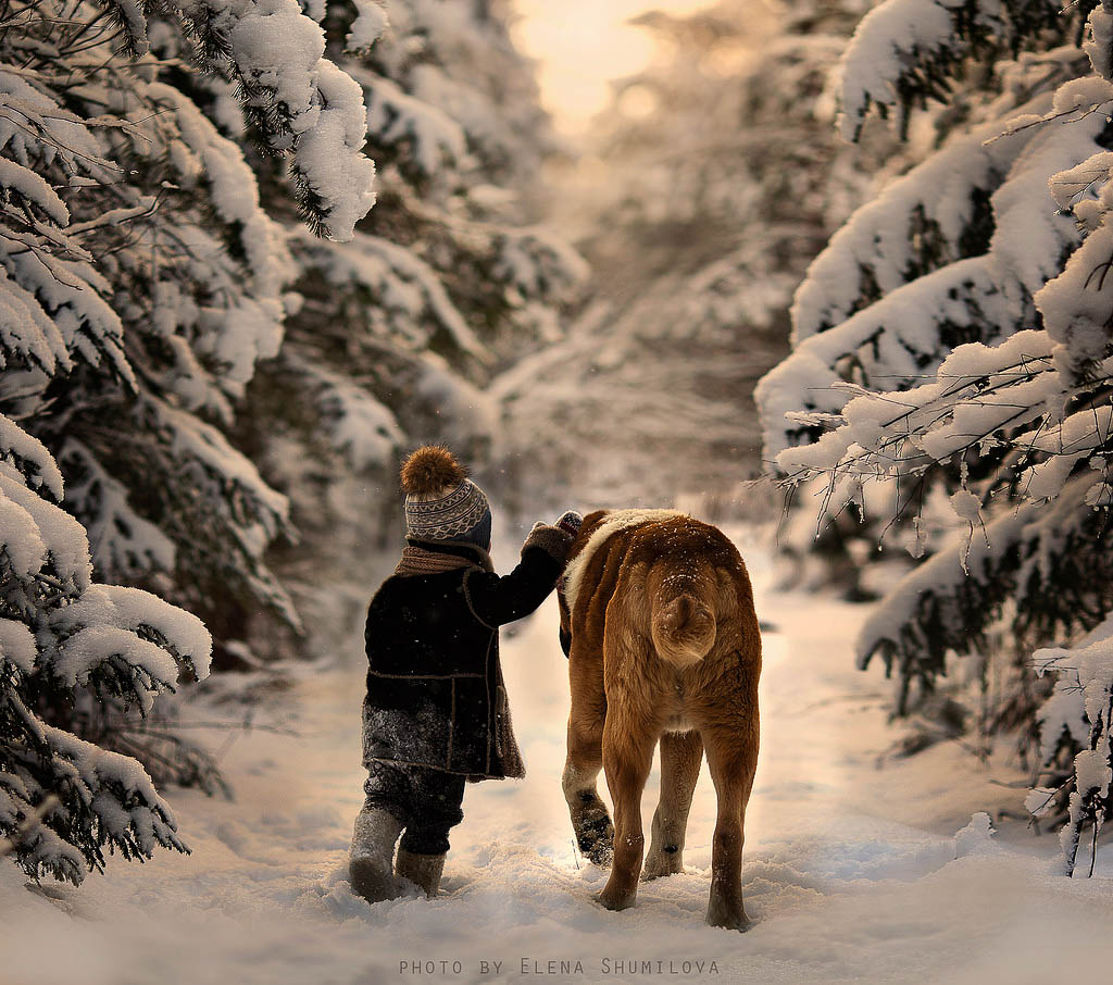 Un enfant et son chien dans la neige