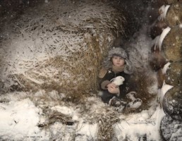 Un enfant et son lapin