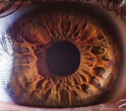 Des impressionnantes macrophotographies du globe oculaire humain