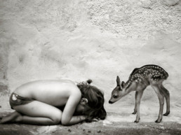 Alain Laboile, En attendant le facteur