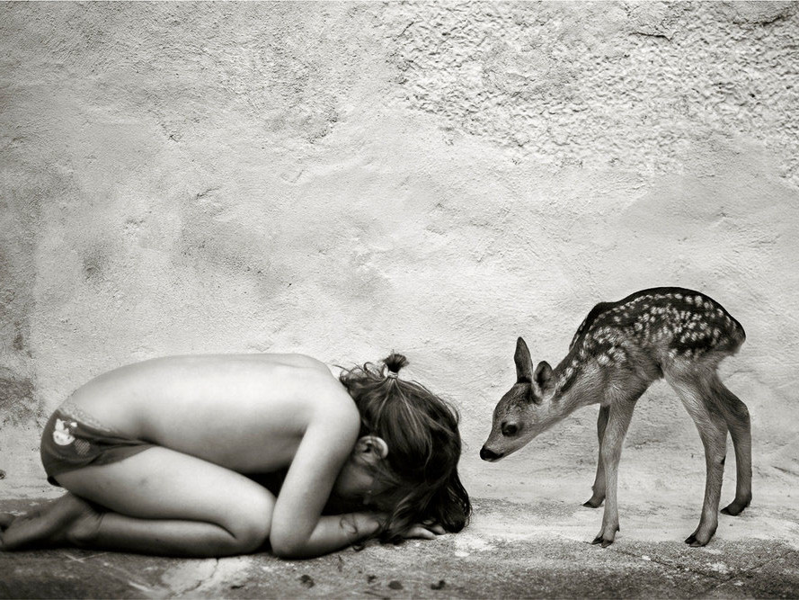 Alain Laboile, En attendant le facteur