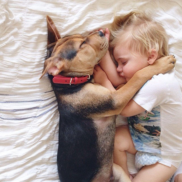 L'amitié de Beau et Theo, un enfant et son chien 
