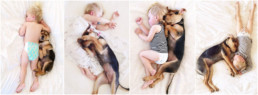 L'amitié de Beau et Theo, un enfant et son chien