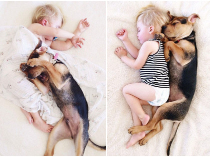 L'amitié de Beau et Theo, un enfant et son chien