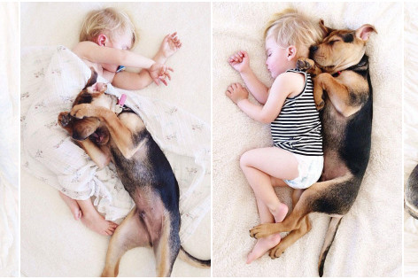 L'amitié de Beau et Theo, un enfant et son chien