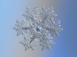 Des flocons de neige en macro par le photographe Alexey Kljatov