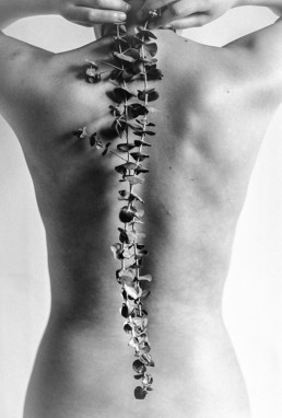 Les nus en noir et blanc du photographe Sanghyeok Bang