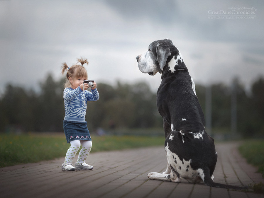 Photo : Andy Seliverstoff / Little Kids with their Big Dogs