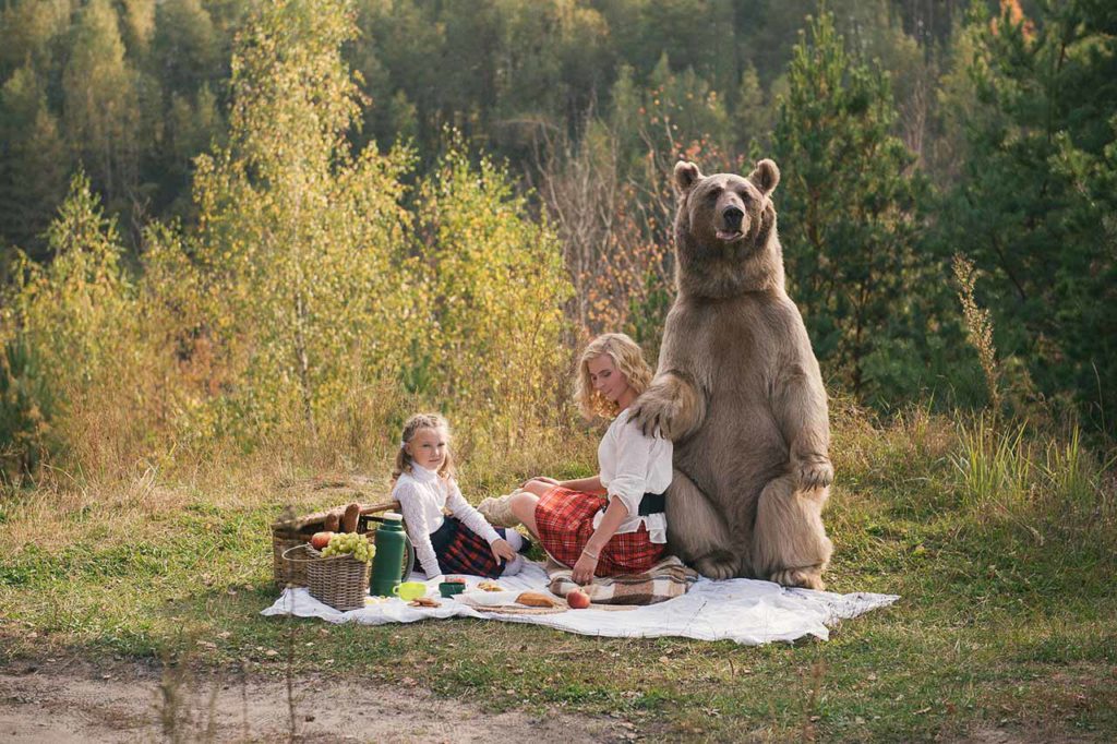 L'ours Stepan joue les modèles pour la photographe russe Olga Barantseva