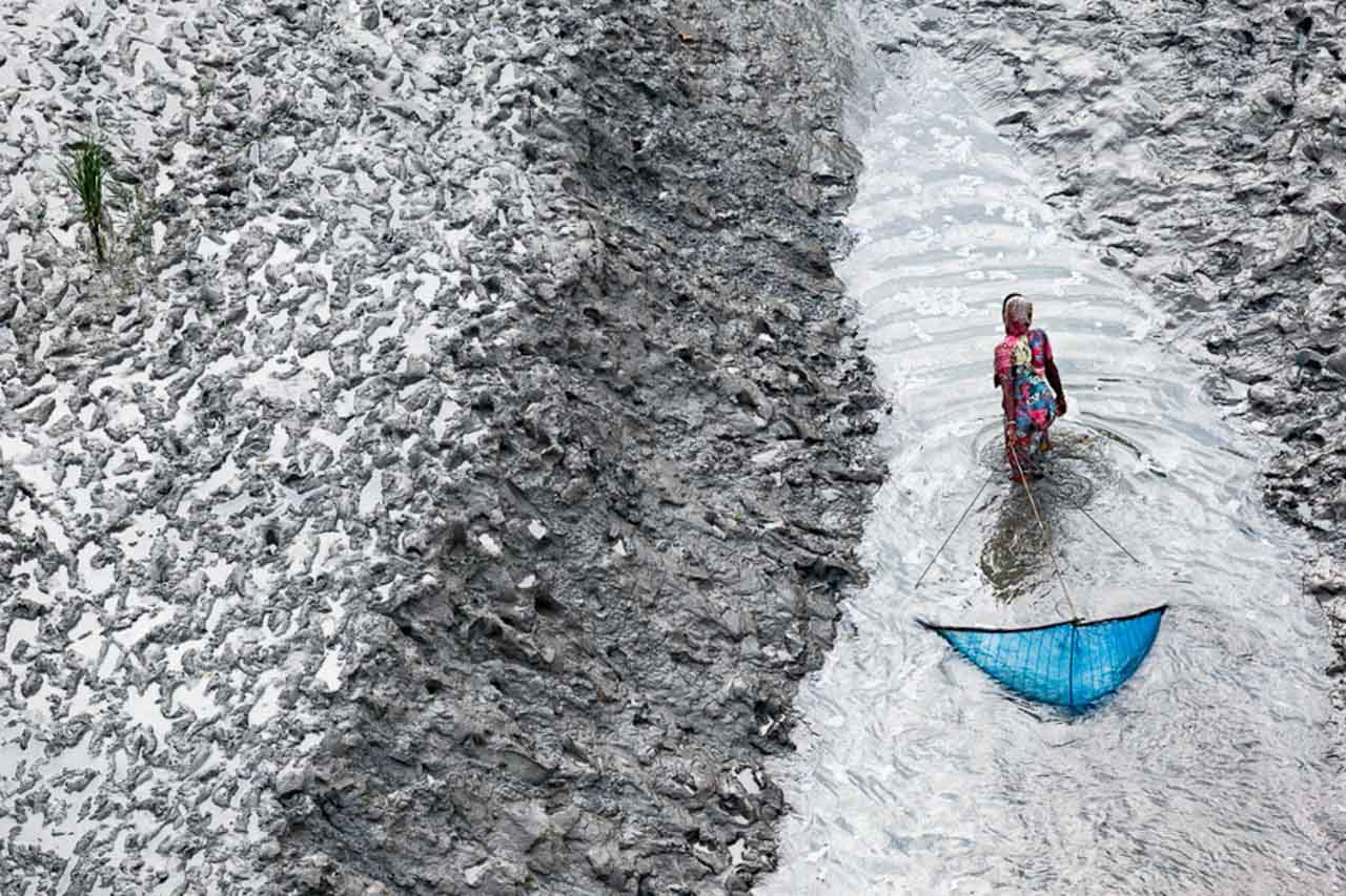 © Yann Arthus-Bertrand - Femme pêchant au filet sur un bras du delta, au sud de Padma Pukur, Khulna Division, Bangladesh (22°15’58.86 »N-89°11'42.63"E). Pays pauvre et densément peuplé avec un moyenne de 1 033 habitants au km2, le Bangladesh peine à nourrir sa population. La malnutrition y est endémique, notamment chez les enfants. Quelque 40 millions de Bangladais sont sous-alimentés soit un quart de la population, selon l’Agence des Nations-unies pour l’agriculture et l’alimentation (FAO). Dans ce contexte, on comprend pourquoi 70 % de la population pratique au moins occasionnellement sous une forme ou une autre une pêche de subsistance. C’est le moyen le plus accessible de se procurer des protéines lorsqu’on est pauvre, qui plus est sans terre. Le poisson, qu’il provienne de la pêche ou de l’aquaculture est au Bangladesh la première source de protéines d’origine animale. En milieu rural et parmi les couches les plus pauvres, c’est la seule source significative de protéines d’origine animale.