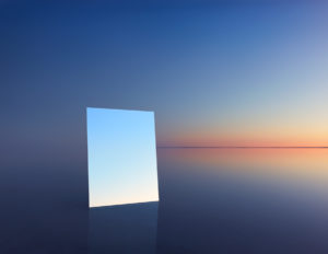 Mirror 13, 2017 © Murray Fredericks