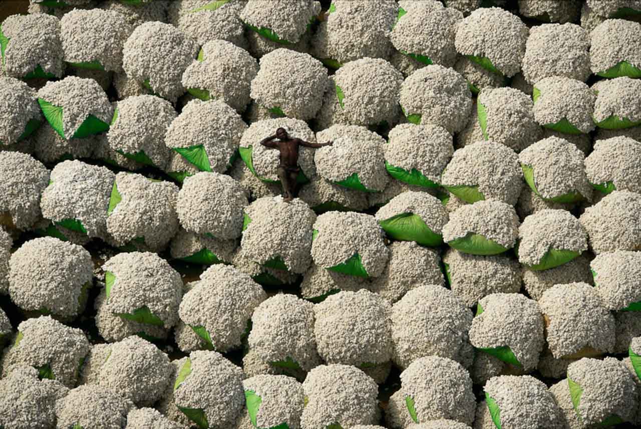 © Yann Arthus-Bertrand - Cotton bales, Thonakaha, Korhogo region, Ivory Coast (9°28' N - 5°36' W).