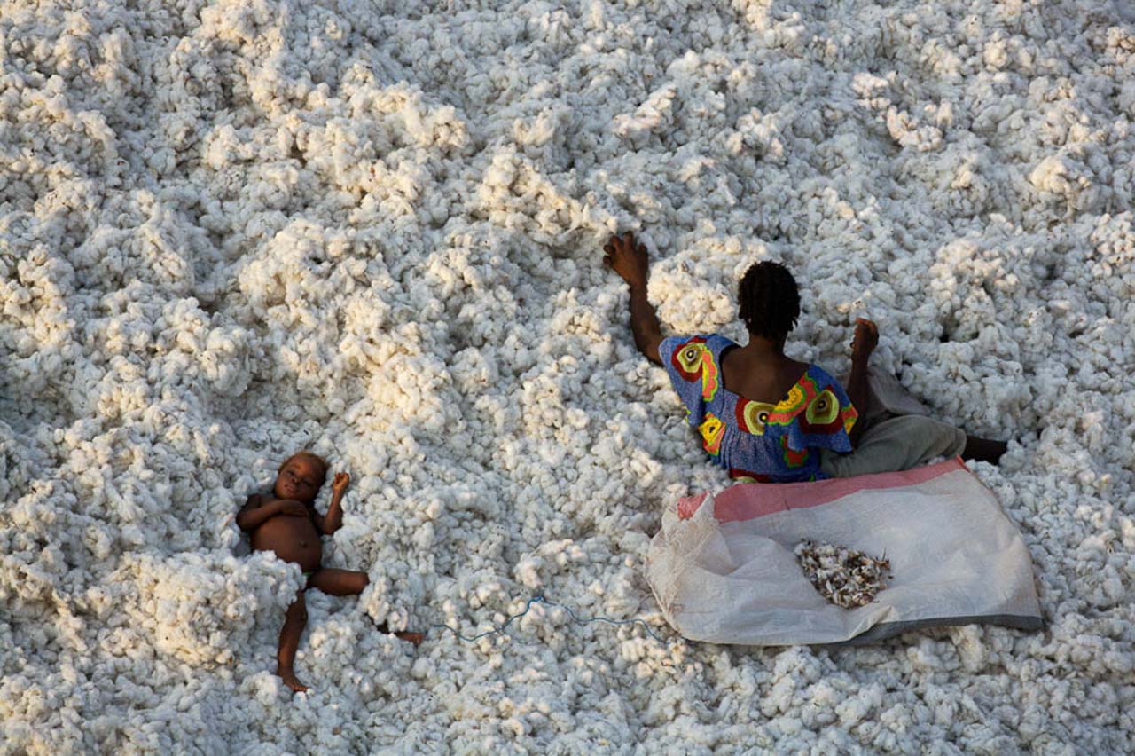 © Yann Arthus-Bertrand - Cotton-picking near the town of Banfora, Burkina Faso (10°36'N - 4°47'W).