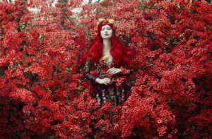 Photo - Bella Kotak, In bloom