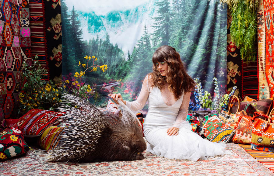 Photo - Deanastacia / Natasha Wilson, Where the Wild Things Are, Porc-épic à crête