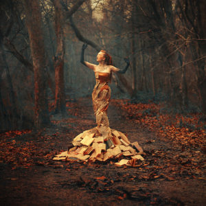 Photo - Raphaelle Monvoisin, Per Aspera ad Astra