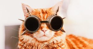 Kristina Makeeva - Kotleta Cat