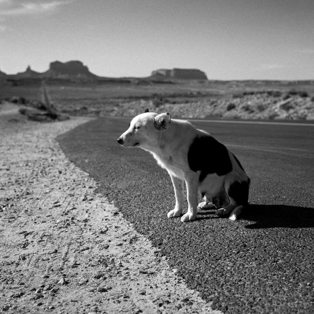 "American untitled", une Amérique en noir et blanc à travers ses paysages