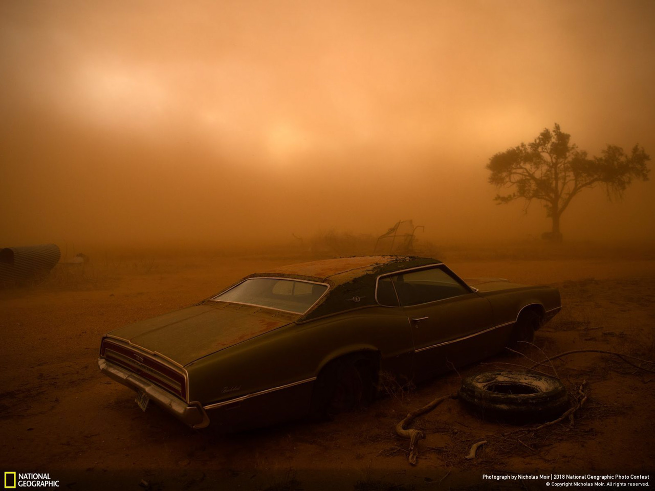 Second Prix Places National Geographic Photo Contest, Thunderbird in the Dust par Nicholas Moir