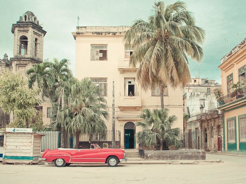 Batiment et palmiers de la Havane