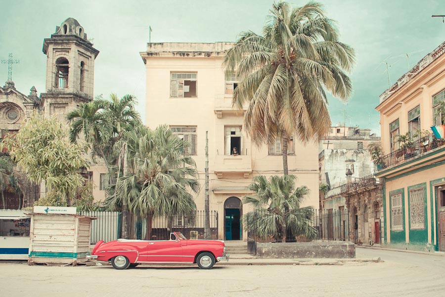 Batiment et palmiers de la Havane