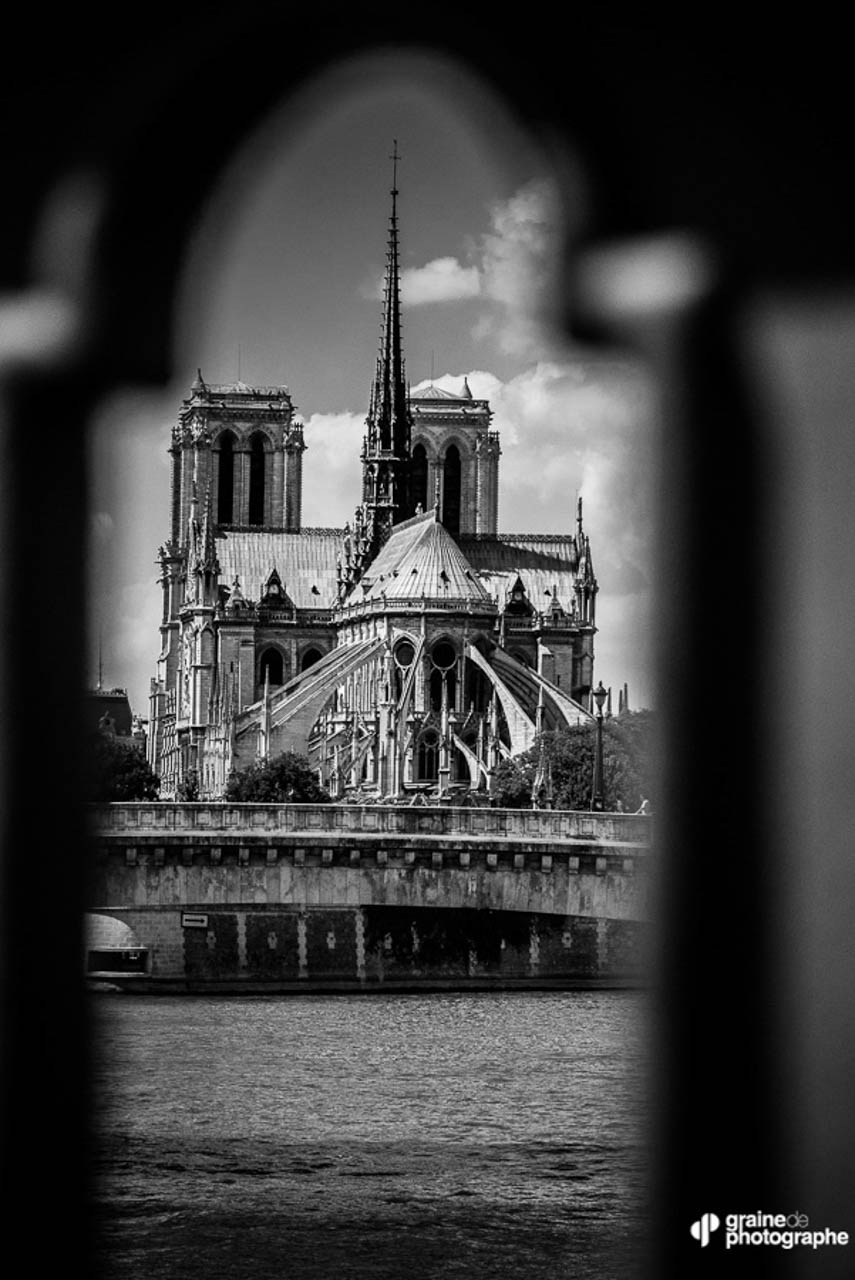 Hommage Notre Dame de Paris Blog Graine de Photographe