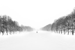 paysage enneigé en noir et blanc