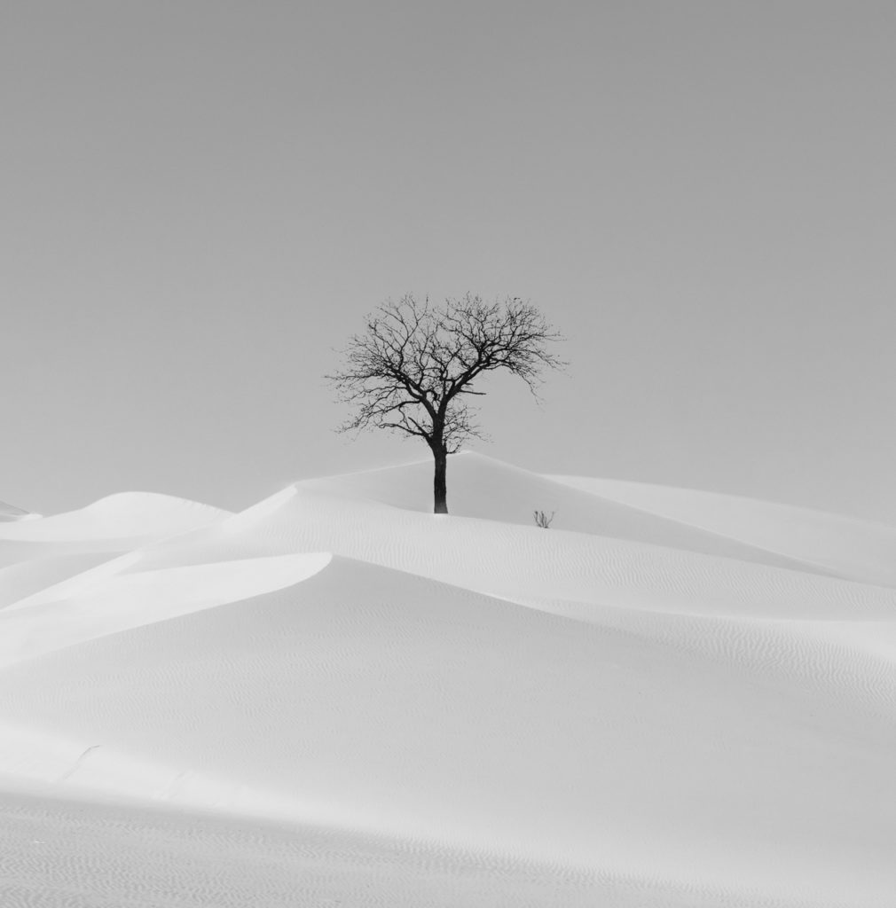 Paysage du monde minimaliste de Rohit Rattan