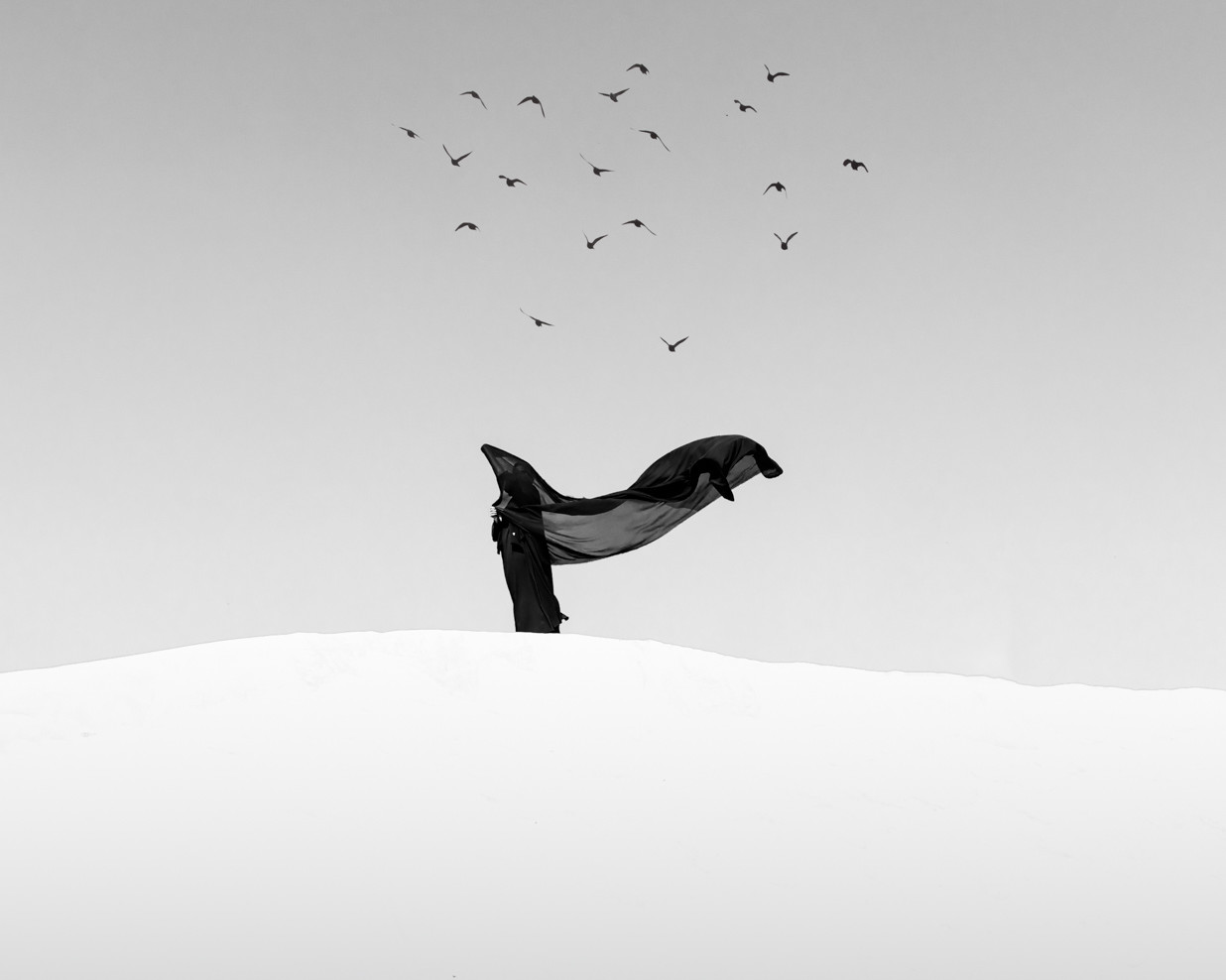 Paysage minimaliste Rohit Rattan