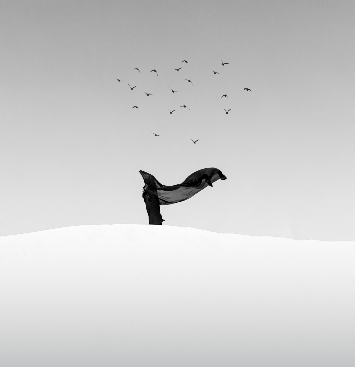 Paysage minimaliste Rohit Rattan