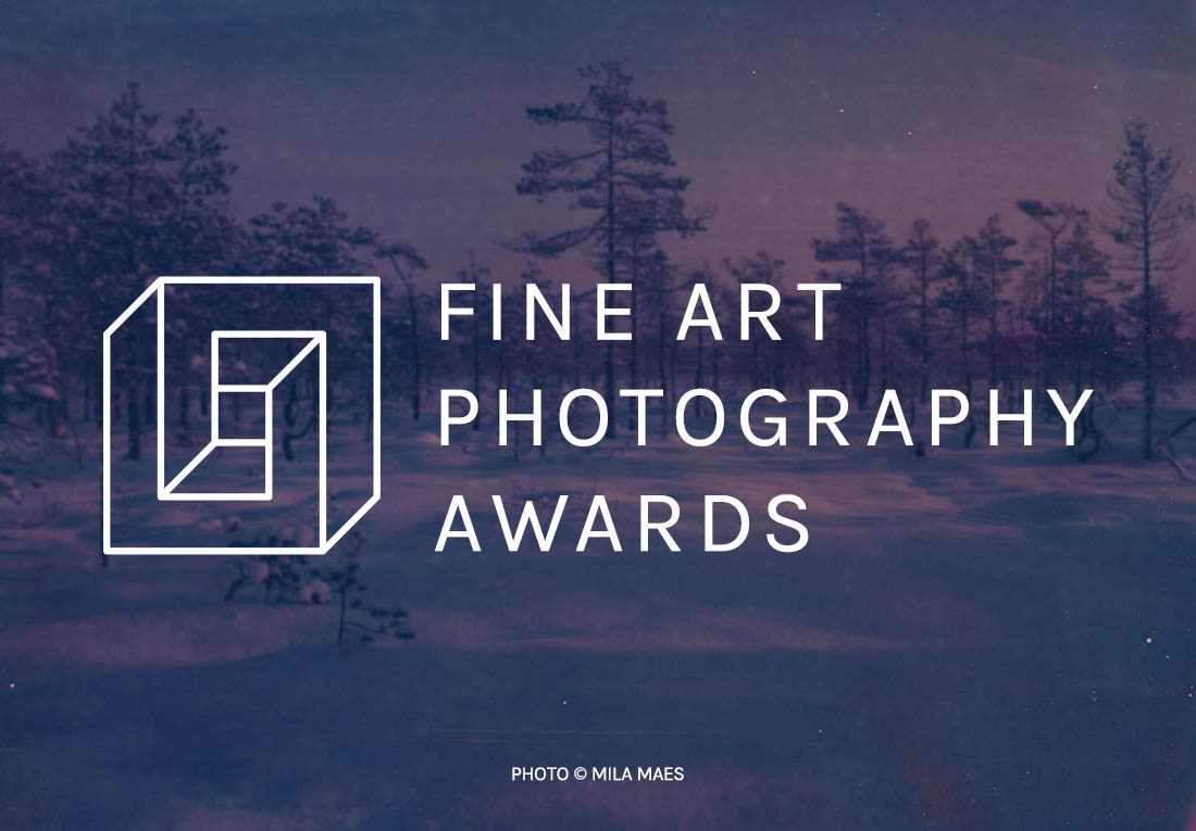 fine art awards