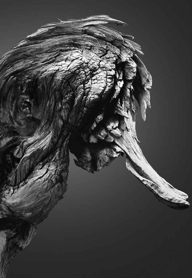 Portraits d'animaux en bois en noir et blanc par Jonatan Maldonado