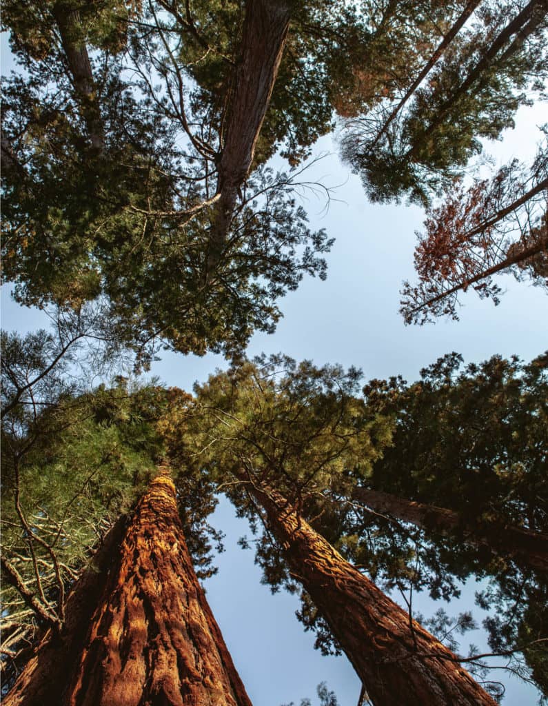 La beauté et les contradictions de la Californie