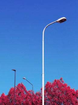 Fabio Catanzaro : L’architecture minimaliste et colorée