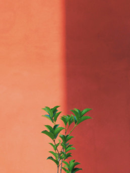 Fabio Catanzaro : L’architecture minimaliste et colorée