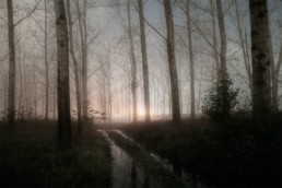 Paysage nocturne et brumeuxde la série Somber