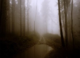 Paysage nocturne de la série Somber par Fili