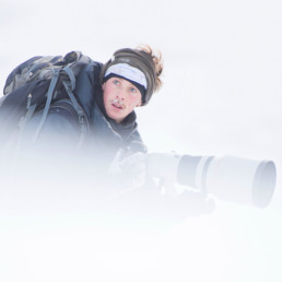 le photographe animalier des paradis blancs