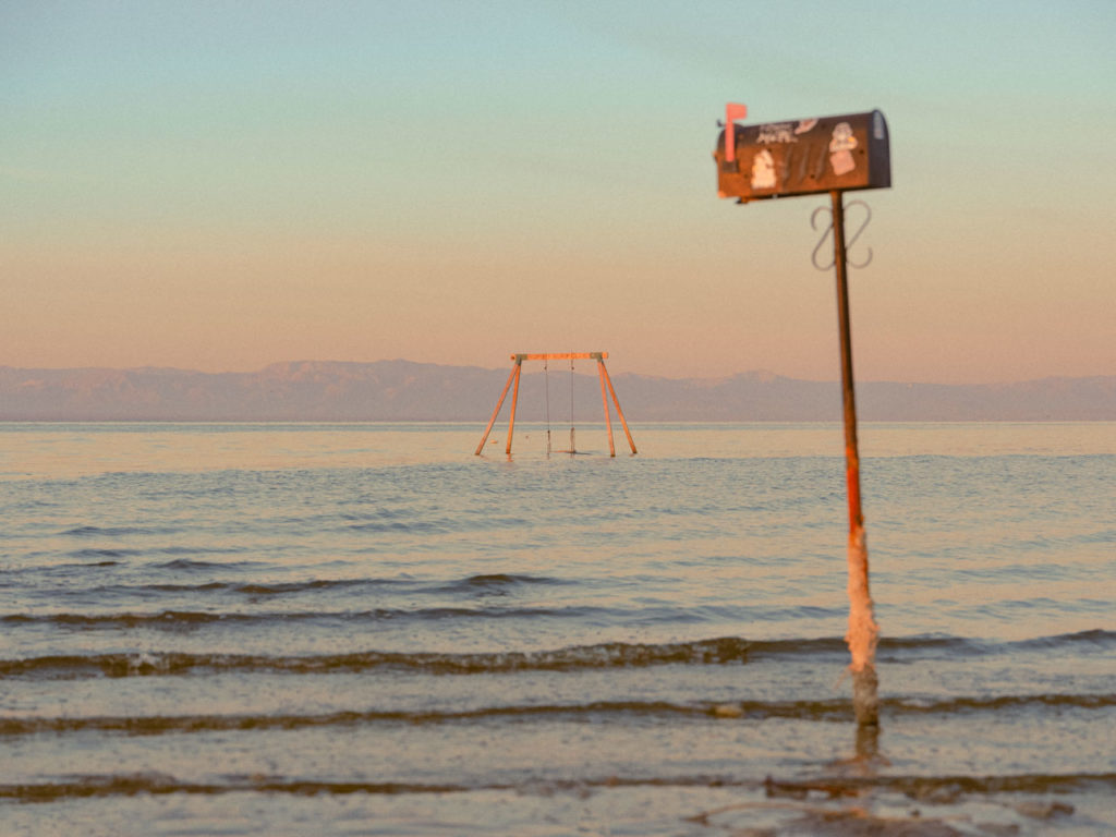 Desert Oddities, l’âme du désert capturée par Vaughn Meadows