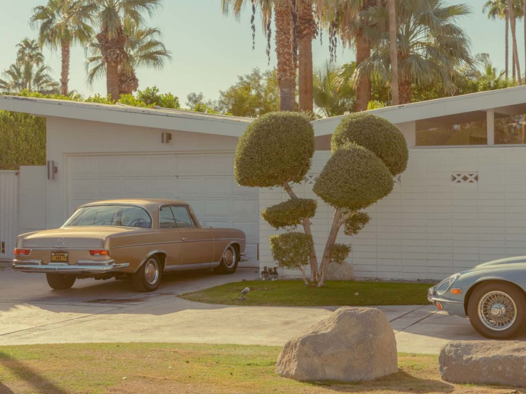 Desert Oddities, l’âme du désert capturée par Vaughn Meadows
