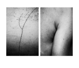 Les diptyques monochromes d’Alicja Brodowicz