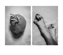 Les diptyques monochromes d’Alicja Brodowicz